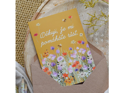 Přání v obálce - Děkuji, že mi pomáháte růst