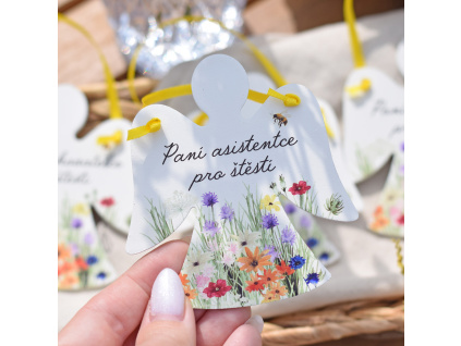Andílek Barevná louka - Paní asistentce