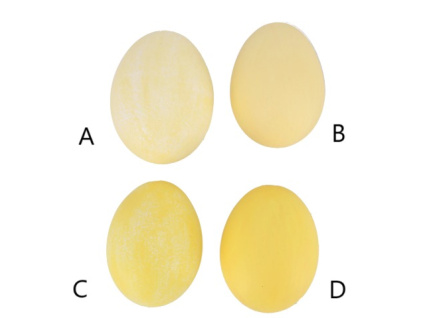 Přírodní slepičí vejce matné, žluté (Varianta Přírodní slepičí vejce matné, žluté D Varianta)