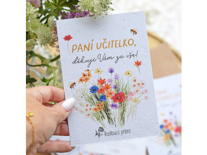 Rostoucí přání - Paní učitelce