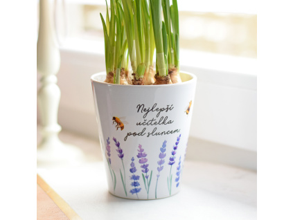 Levandulový květináček -  Nejlepší učitelka pod sluncem.