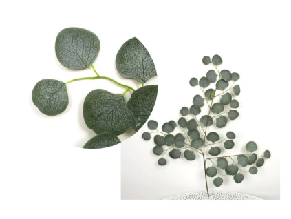 Snímek obrazovky 26 2 2026 10104 www.zentrada.com