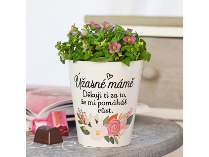 Květináč pro maminku - "Úžasné mámě"