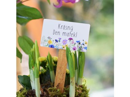 zápich Krásný den Matek