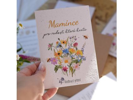 přání mamince 2