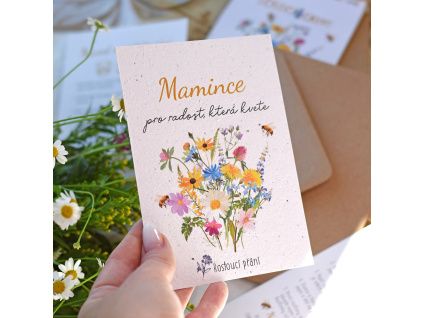 přání mamince 3