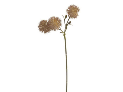 Svazek bodláky 6 ks - béžová se žlutým středem