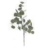 Větvička eukalyptus - zelená