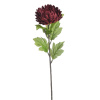 Chryzantéma 58 cm - vínová