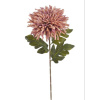 Chryzantéma 72 cm - starorůžová/fialová žíhaná