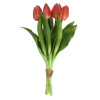 Kytice tulipánů Camilla, korálově červená