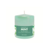 Ginger & Mint Vonná svíčka, 250 g