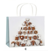 Taška vánoční dárková S 15 x 12 x 5,5 cm (Varianta Taška vánoční dárková S 15 x 12 x 5,5 cm C)