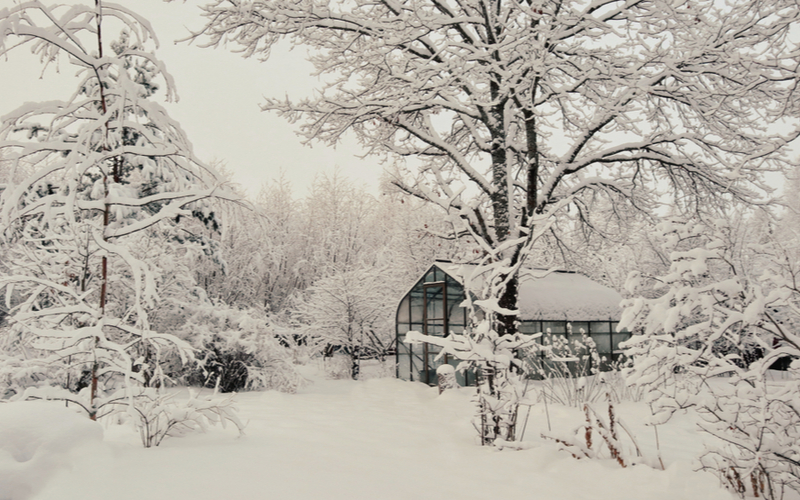 Vykurovanie v skleníku a pestovanie aj v zime
