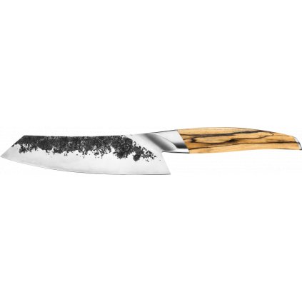 KatSant18cm HR1 Trans WEB e1574258346715