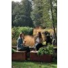 OFYR Herb Garden Bench