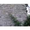 wild stone sh 004