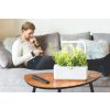 smart garden 3 inteligentny kvetinac na bylinky click and grow v obyvacke