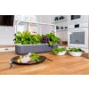 smart garden 9 inteligentny kvetinac na bylinky click and grow v kuchyni