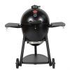 AKORN Kamado gril na drevené uhlie Char-Griller