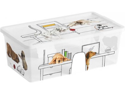 Box s víkem KIS C Style Pets XS, 6 lit., 19x34x12 cm
