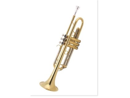 25456 pohlednice trubka