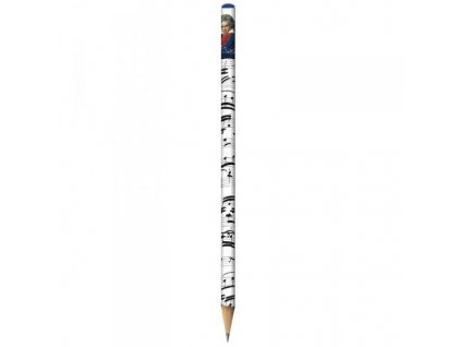 29947 tuzka beethoven portret