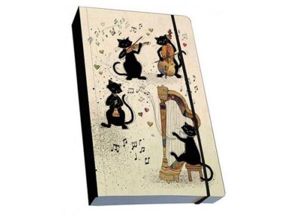 30280 poznamkovy sesitek kocka harfistka