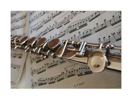 31822 pohlednice pricna fletna bez obalky