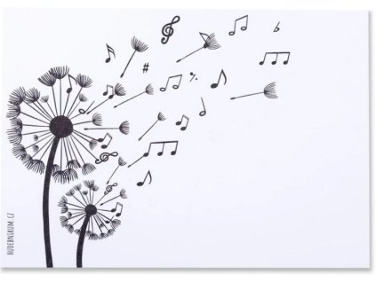 Dárková kartička A6 Sólo pro pampelišku