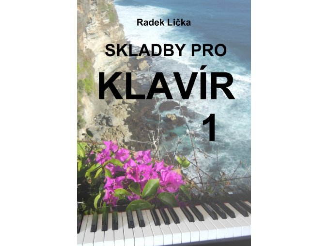 Radek Lička Skladby pro klavír (keyboard)