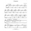 24100 1 w gillock flamenco