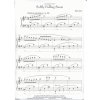 24235 1 softly falling snow