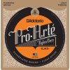 25138 d addario ej43