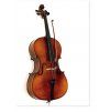 25486 pohlednice cello