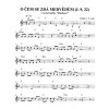 27328 1 kouzelna vecernickova fletna