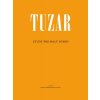 28213 j tuzar etudy pro maly buben