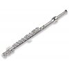 34162 pin odznak pricna fletna