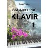 Radek Lička Skladby pro klavír (keyboard)