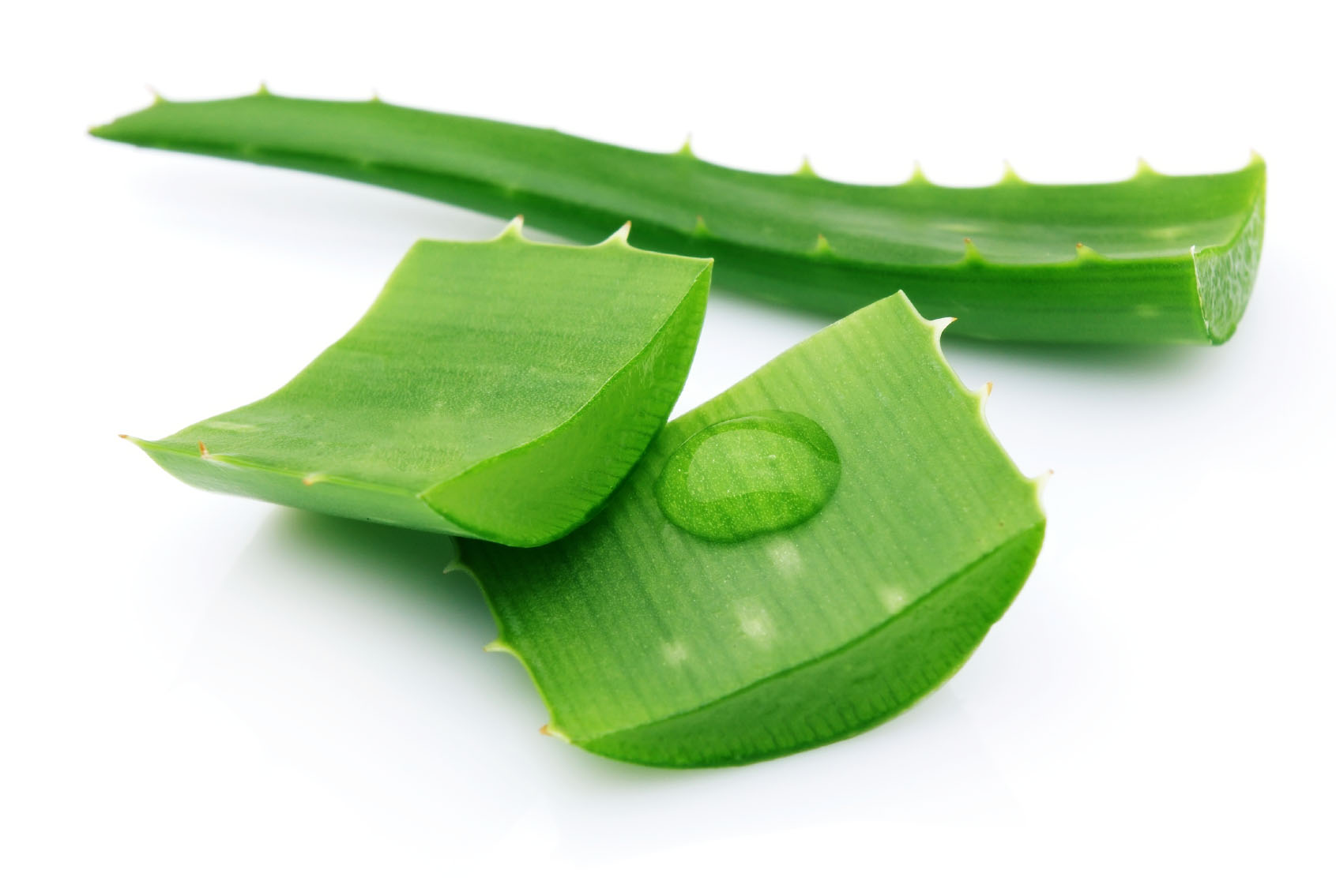 Ikona: Aloe vera