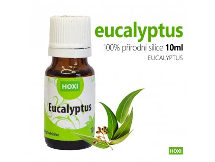 Eukalypt - esenciální olej HOXI