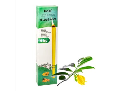 Telove svice HOXI ylang ylang 4ks
