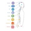 Chakras 01 825x1024