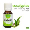 Eukalypt - esenciální olej HOXI