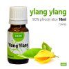 Ylang ylang - esenciální olej HOXI
