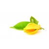 Ylang Ylang