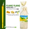 HOXI telove svice YLANG YLANG v platenem pytliku 10ks 002