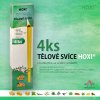 telove svice HOXI 4ks v krabicce 01