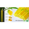usni telove svice hoxi ylang ylang banner 01