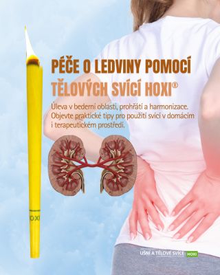 🍃 Leden patří ledvinám. Alespoň podle tradiční čínské medicíny. Zima je období, kdy tělo přirozeně zpomaluje a více...